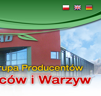 owoce i warzywa